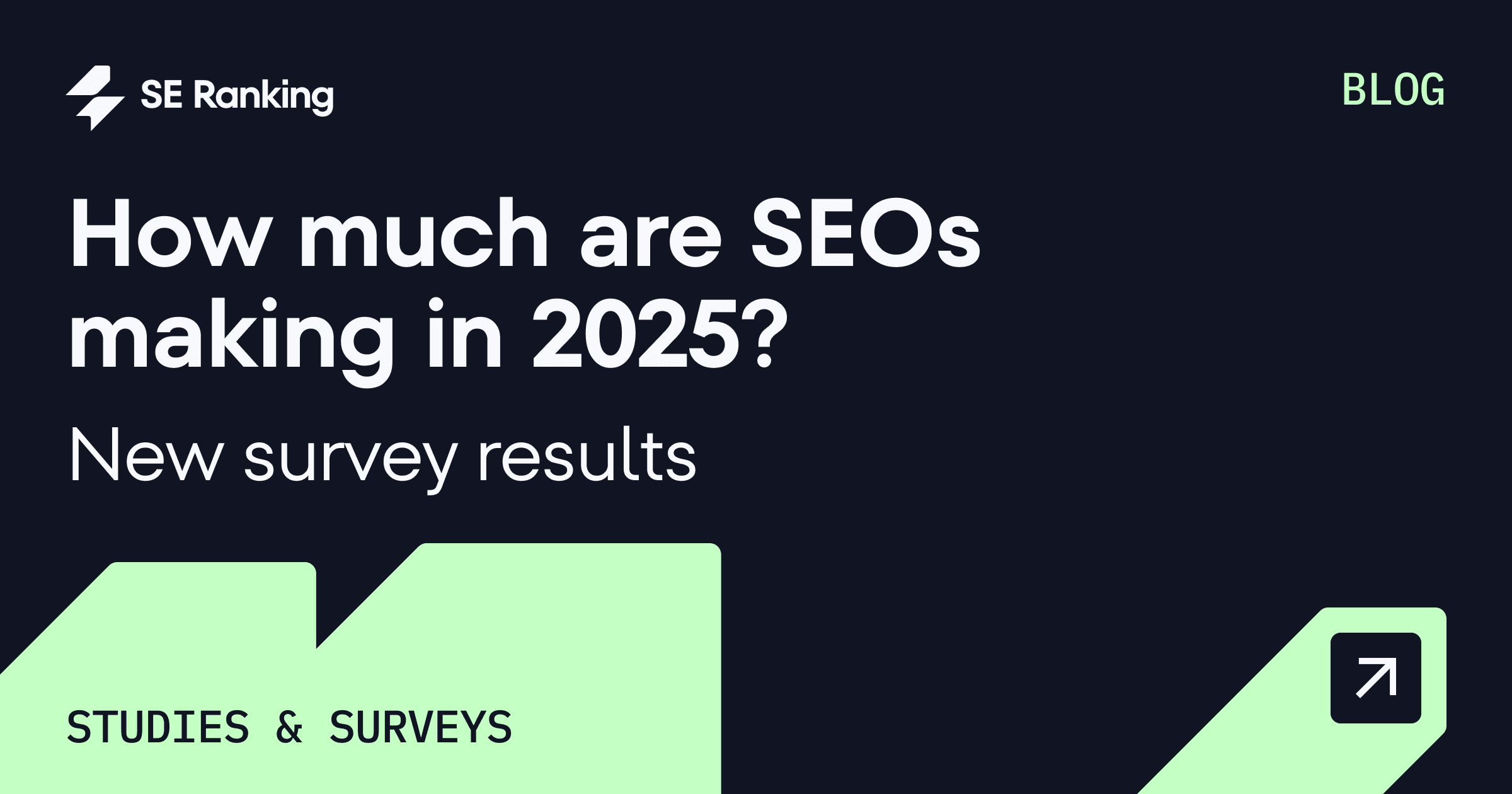 How Much Are SEOs Earning?